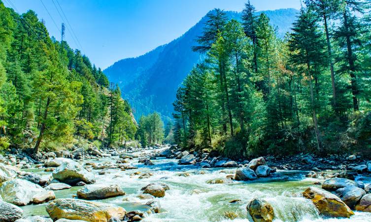hotels near  kasol